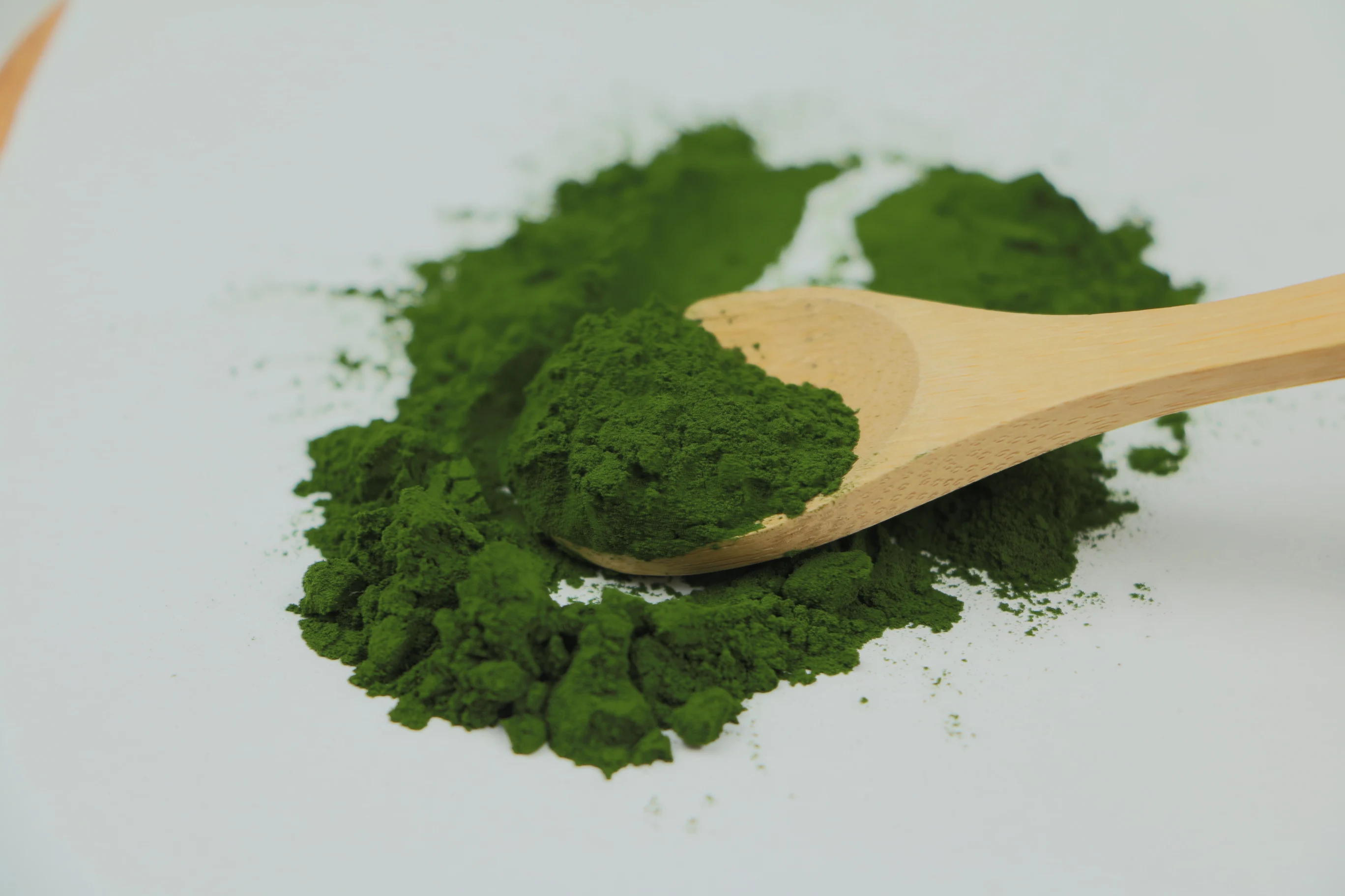Chlorella powder factory Chlorella powder factory
