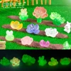 Succulent series