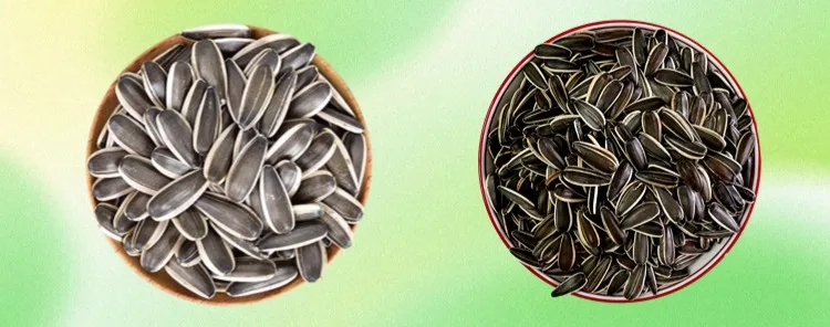 High-quality Chinese Sunflower Seeds Can Be Used for Planting, Offering Higher Yields at Discounted Prices. Large Size T6.