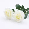 สีขาว