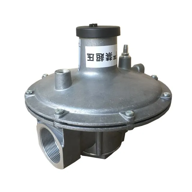 Manufacturers Supply DN Specification Air-Fuel Mixing Proportional Regulating Valve Gas Valve Filter Casting Services WF WF/AG50