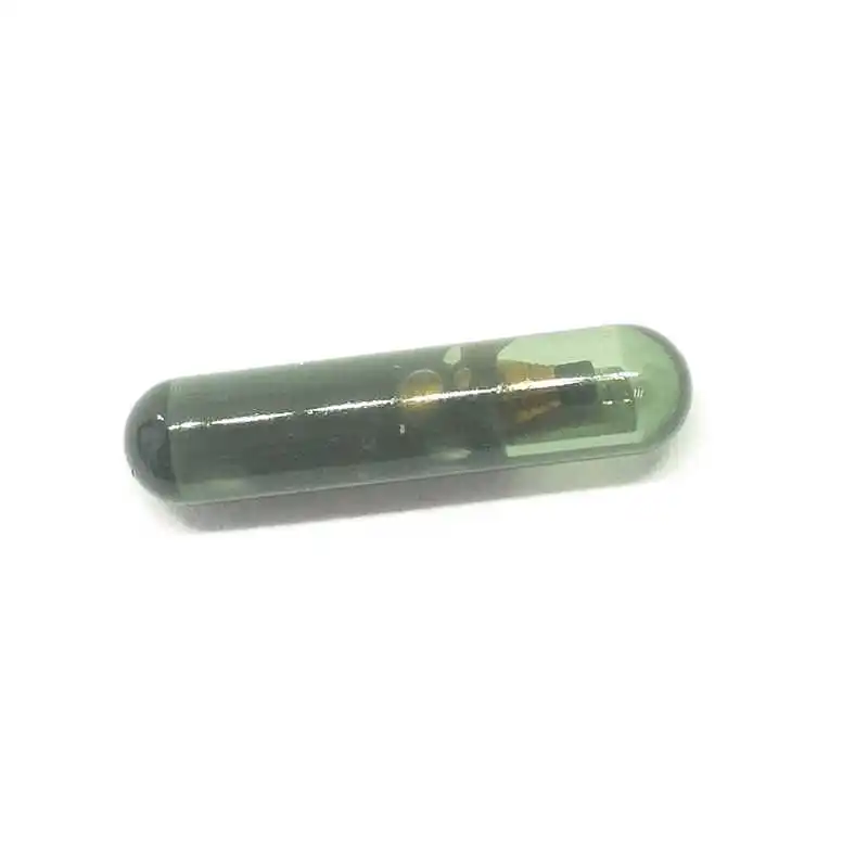Topbest Transponder Car Key Chip 4D60 4D63 ID48 ID13 ID4C ID44 PCF7935 PCF7936AA PCF7936AS T5-ID20 4D60 Glass Chip