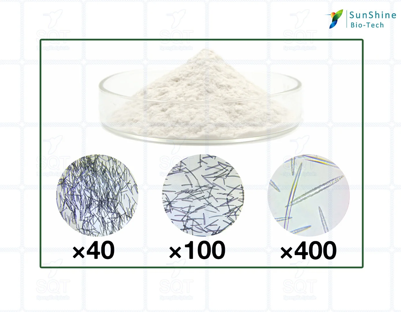 Cosmetics Component Hydrolyzed Sponge Glycoside Spongilla Spicules Powder
