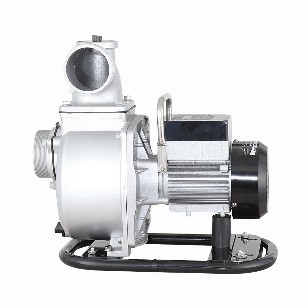 High Efficient PMSM Motor 1.2 HP Surface Solar Water Pump for Agriculture