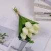 ramo blanco
