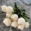White 8
