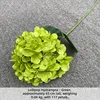 JZ-Verde chiaro