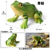 Petite grenouille colorée M-3010
