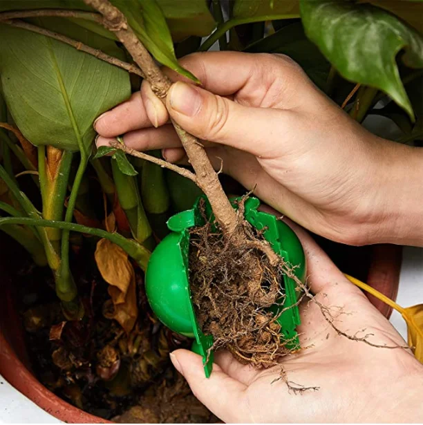 10 Stück Pflanzen-Wurzelboxen – Tragbares Bewurzelungsgerät, Robust & Leicht