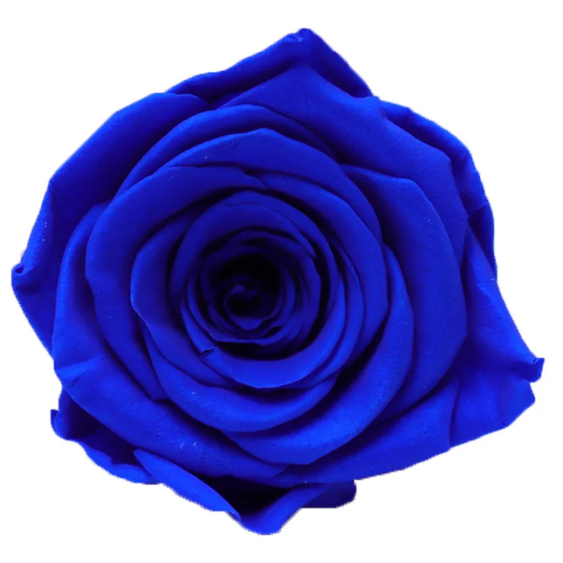 Ewige Rosen 4-5cm - Natürliche Konservierte Rosenköpfe Für Valentinstag & Hochzeit