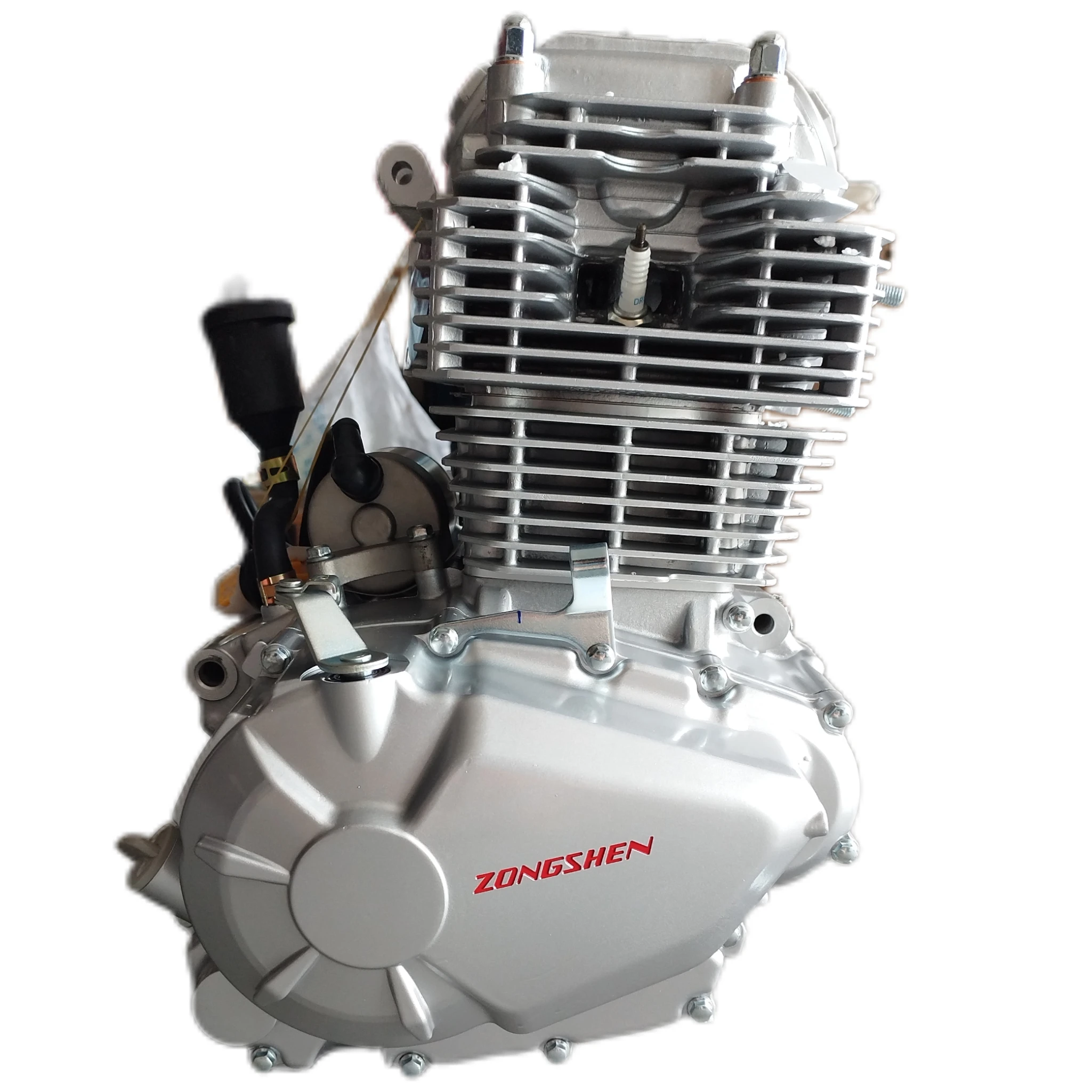 Zongshen PR250 250cc/300cc Motorcycle Engine - OEM Customization