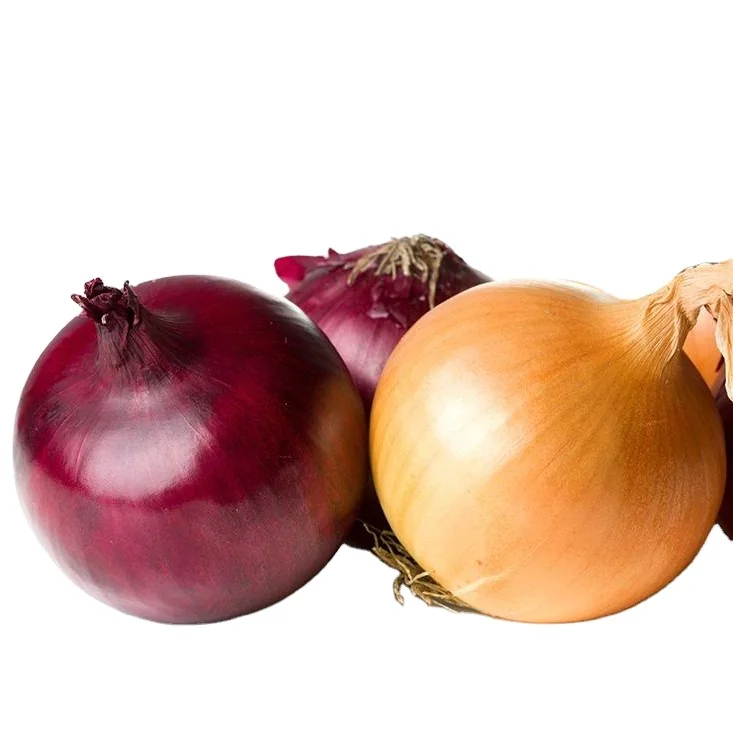 Factory direct selling fresh red onion new crop supplier 2020