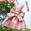 Dress pink