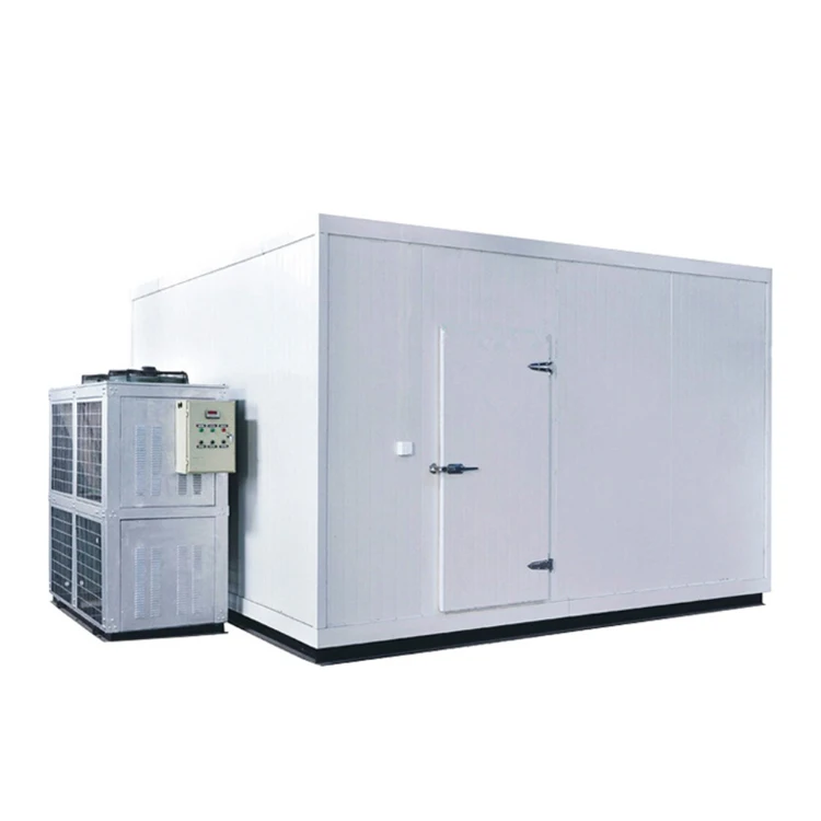 Cold Room Refrigeration Compressor Racks, Low Temperature Piston Parallel Condensing Unit for Fishery