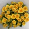 Dream barbie multi-head rose-10 palos