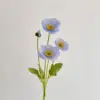 Bleu clair