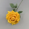 Rose à grandes cornes - Jaune