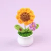 Piccola mini coccinella in vaso viola sole