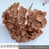 Five-headed hydrangea LS Brown