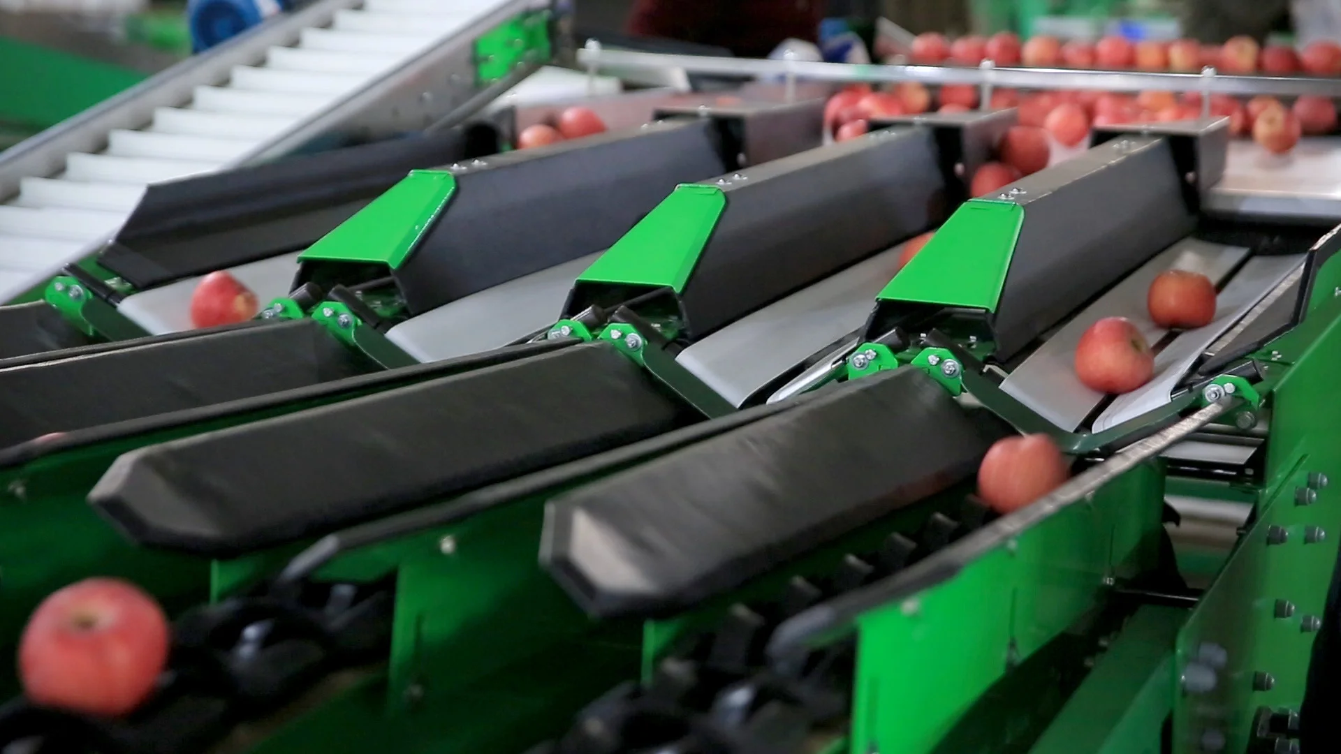 Automatic Commercial Apple Grading Machine - Efficient & Reliable