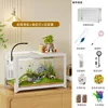 White-frame light filtering tank, bare tank with colored frame c