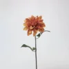 puDahlia (arancia caffè)