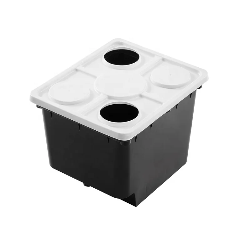 Glass Greenhouse House Complete Kit Dutch Bucket Hydroponics