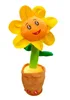 Solar flower
