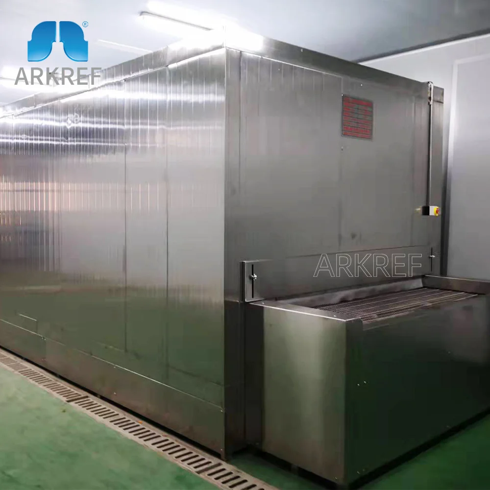 Energy-saving Tunnel Quick Freezer/Iqf Freezer Small Freezer Fish Freezing Equipment for Cooling Fish