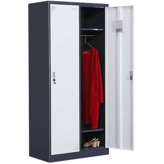 Steel Almirah Design Almari Locker For Changing Rooms 2 Door Modern ...