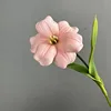Pu tulipán abierto 9