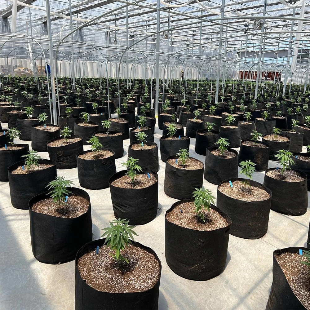 1/2/3/5/10/15 Planter Grow Bag Tree Seeding Pot Fruit Fabric Plant Pots