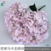 A bunch of macaron hydrangeas, HJX pink