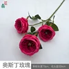 Austin Rose Y Rose Rouge