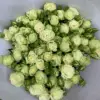 Rosa multi-cabeza burbuja estrellada - 10 unidades