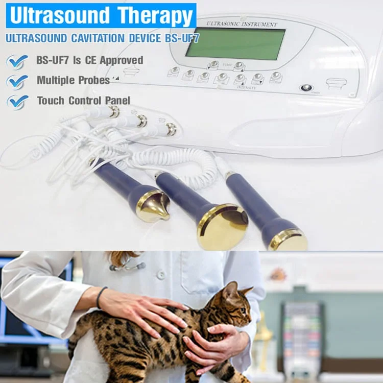 Vet Therapeutic Ultrasound Device - LUMSAIL INDUSTRIAL INC.