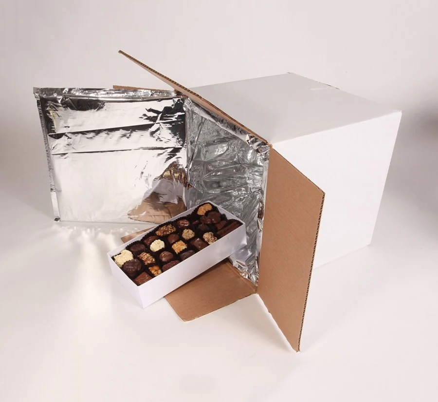 12x12x12 Recyclable Thermal Bag Deluxe Box Panels Insulated Foam