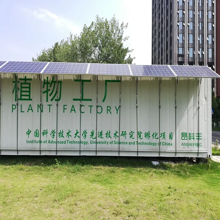 Hydroponic System Container Hydroponic Farm  Plant Factory Vertical Indoor Hydroponic Farms