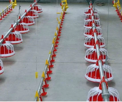 Floor Galvanized Chicken Feeding Line Automatic Feeding Machine For Poultry