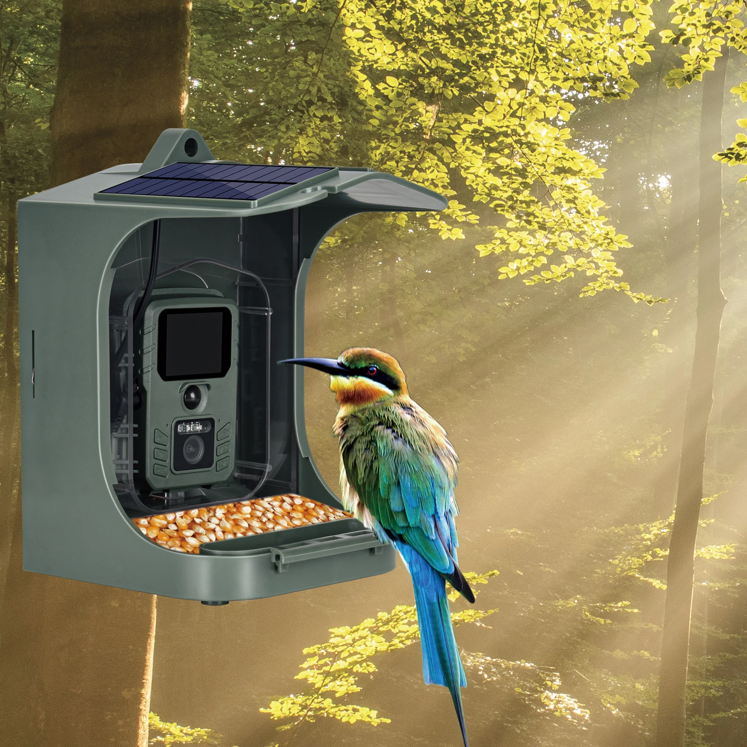 Mangiatoia Per Uccelli Intelligente Con Fotocamera E Riconoscimento AI, Gialla, Resistente Alle Intemperie, Birdwatching 2.0 - 4