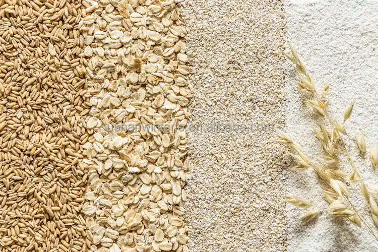 High Production Output Roller Mill Oatmeal Machine Wheat Corn Maize Sorghum Flour Mill Oats Grinding Machine for Organic Farming
