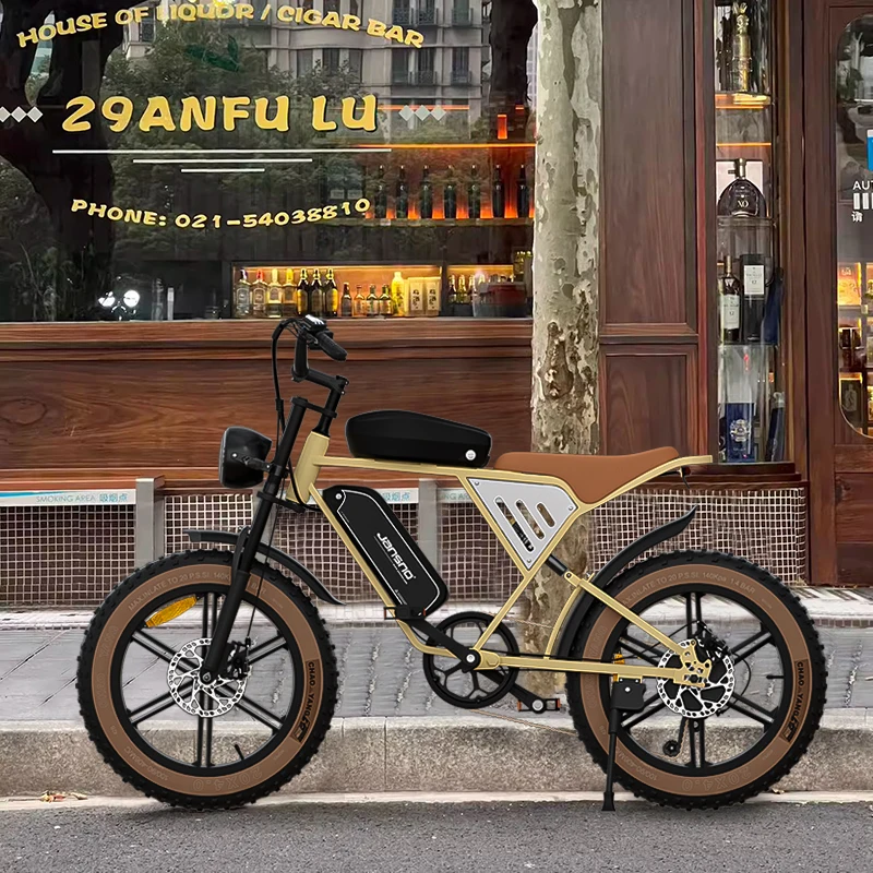 JANSNO X70 750W Dual Motor Electric Cargo Bike 20