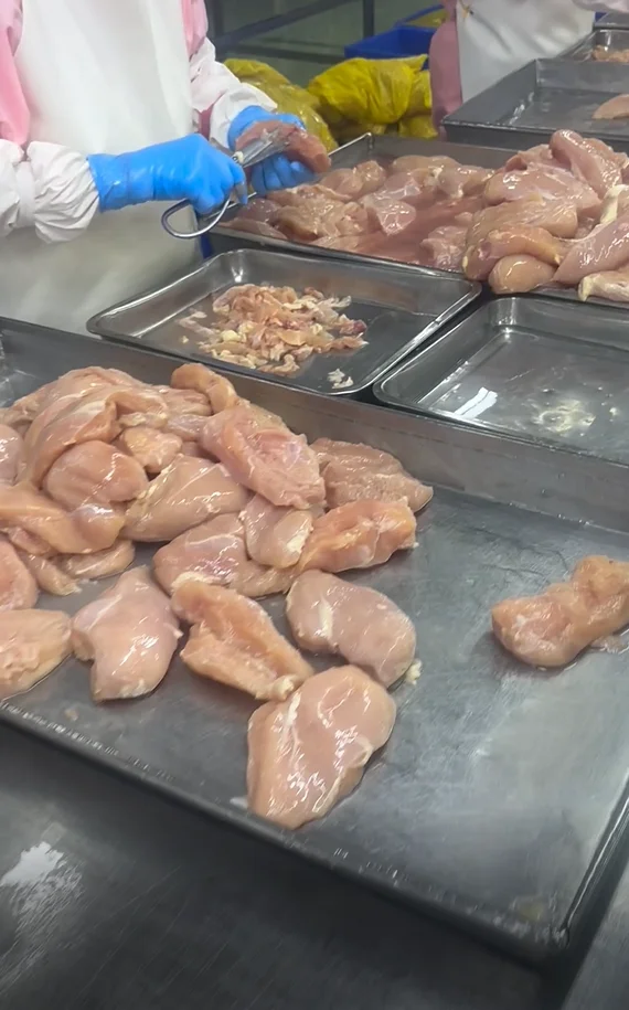 Мясо птицы, куриные наггетсы, жареный карааге, Халяль, сертифицированная упаковка, ISO BRC, нарезка Sadia, курица, замороженная кауди, курица