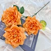 Arancione