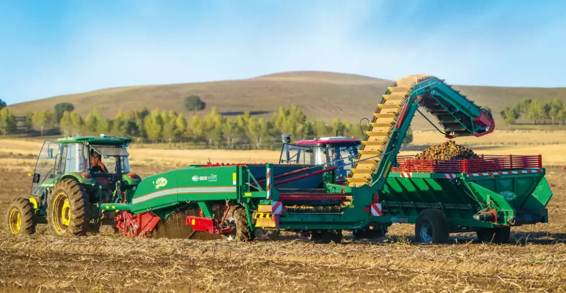 Automatic double rows big Potato digger combine Harvester