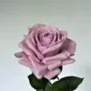 อโรมาเธอราพี