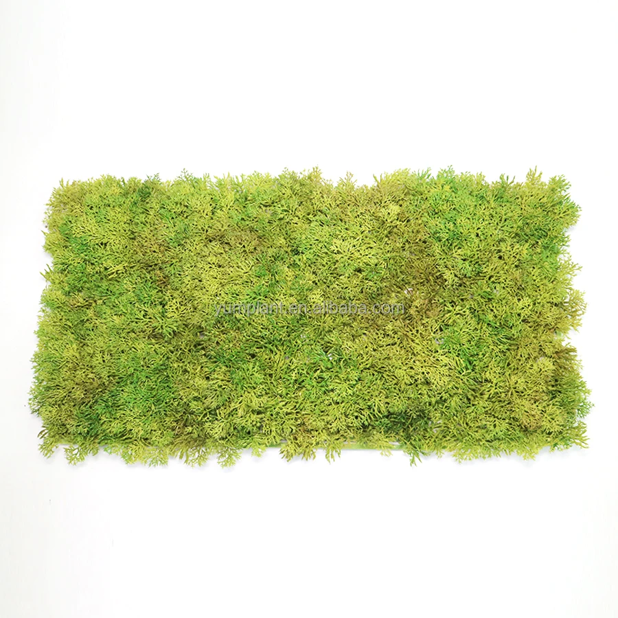 Artificial Moss Mat Moss Panel Special Size 25cmx50cm For Landscape