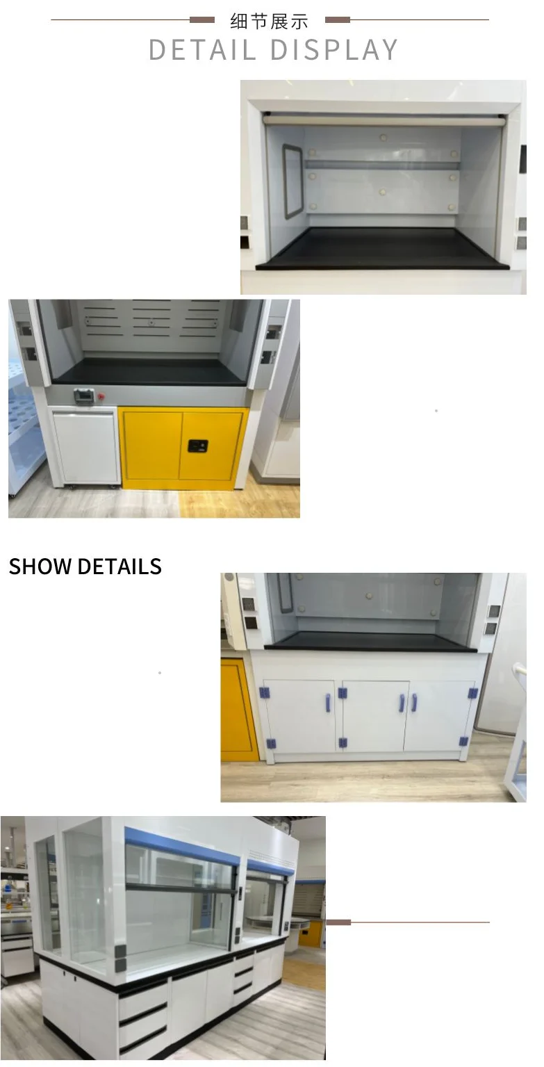 304 Stainless Steel Lab Fume Hood with All Steel Construction and Customizable Size for Chemical Institutes