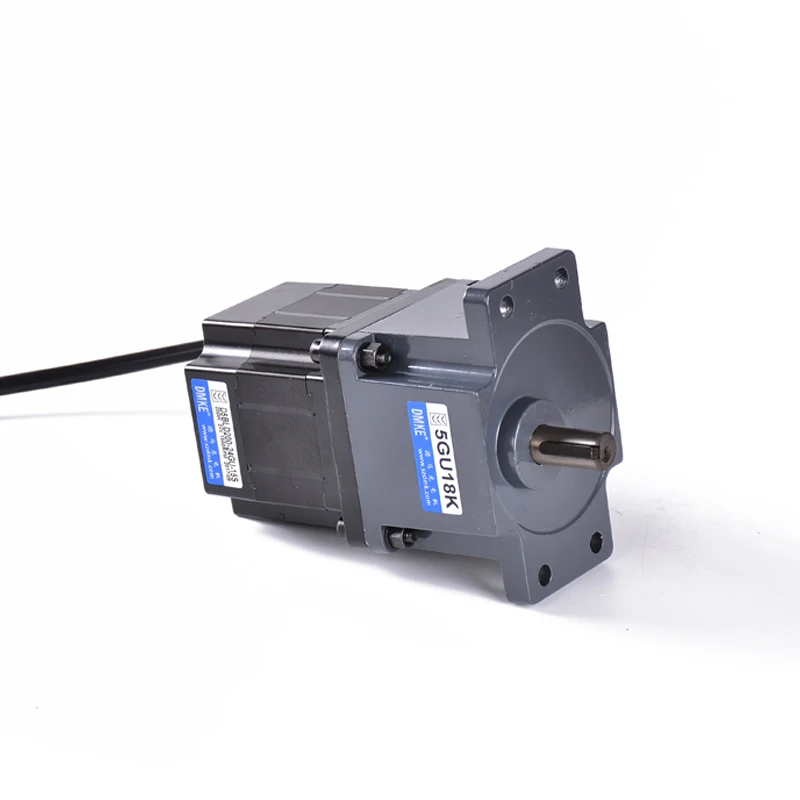 Custom Small Gear Box for Motor 24Volt 48Volt 500W 750W 250RPM 200RPM 100RPM Single Side Bldc With Warm Gear