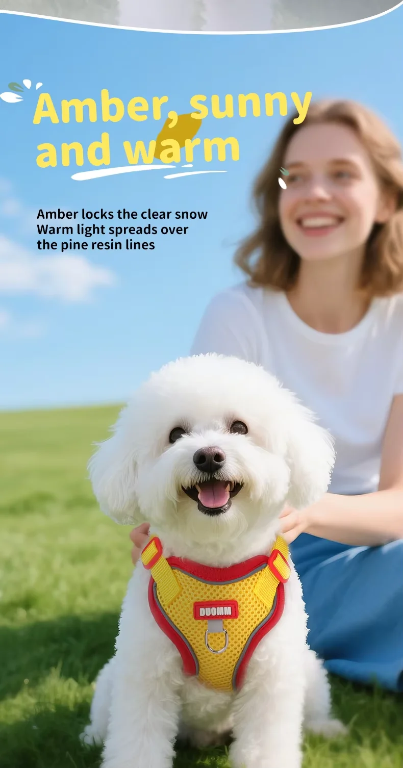 Hot Selling Colorful Vest Style Dog Cat Breathable Harness Leash Adjustable Anti Escape Outdoor Pet Products5